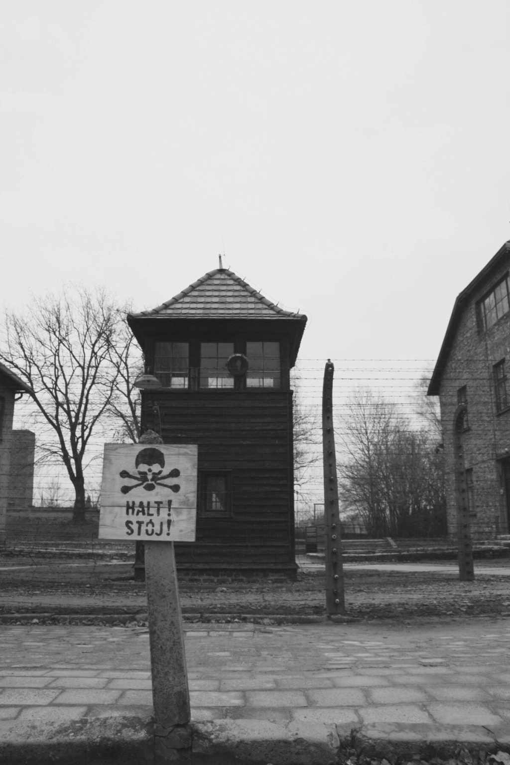 Lordan Zafranovic: A Portrait of a&nbsp;Provocateur